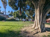 Enlarge photo 73