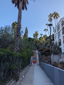Enlarge photo 77
