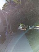 Enlarge photo 106