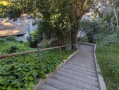 Enlarge photo 109