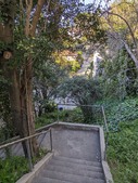 Enlarge photo 110