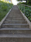 Enlarge photo 111
