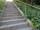 Enlarge photo 113