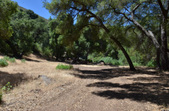 Canyon Ranch