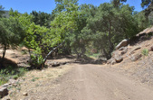 Enlarge photo 19