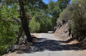 Enlarge photo 27