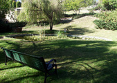 Enlarge photo 18