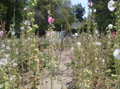 Enlarge photo 24