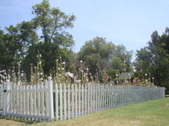 Enlarge photo 25