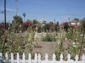 Enlarge photo 26