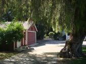 Enlarge photo 29