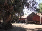 Enlarge photo 39