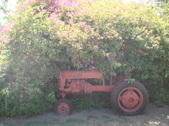Enlarge photo 43