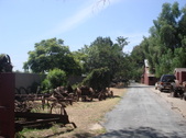Enlarge photo 44