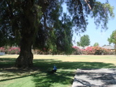 Enlarge photo 46