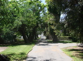 Enlarge photo 51