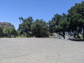 Enlarge photo 77