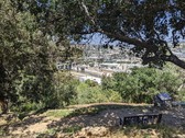 Enlarge photo 81