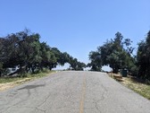 Enlarge photo 83