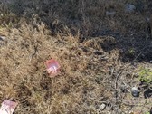 Enlarge photo 34