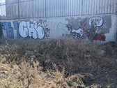 Enlarge photo 35