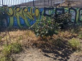 Enlarge photo 39