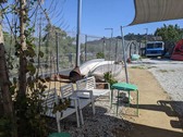 Enlarge photo 55