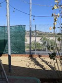 Enlarge photo 56