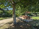 Enlarge photo 60