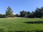 Enlarge photo 71