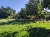 Enlarge photo 72