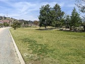 Enlarge photo 1