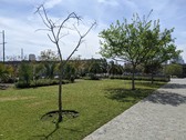 Enlarge photo 19