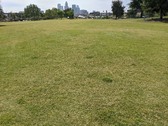 Enlarge photo 30