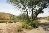 Parks