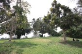 Enlarge photo 1