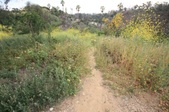 Enlarge photo 1