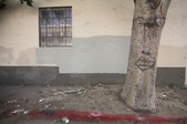 Enlarge photo 38