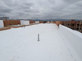 Enlarge photo 41