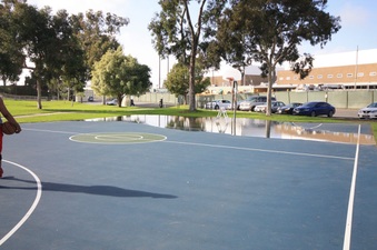 Enlarge photo 6