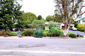 Enlarge photo 1