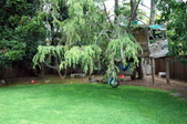 Enlarge photo 29