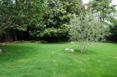 Enlarge photo 30
