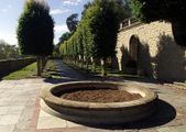 Enlarge photo 17