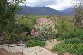 Enlarge photo 27