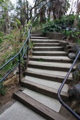 Enlarge photo 31