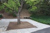 Enlarge photo 34