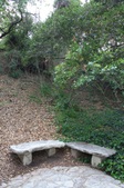 Enlarge photo 35