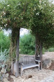 Enlarge photo 37