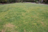 Enlarge photo 39